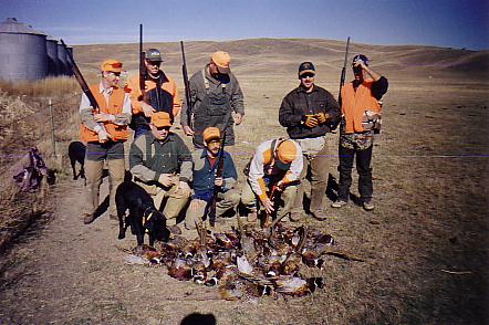 pheasant hunt